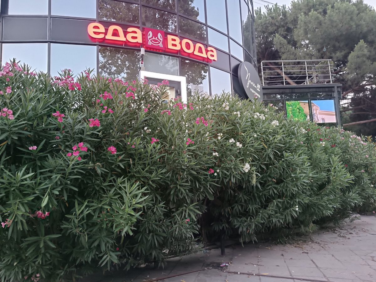 Сетевой магазин на набережной