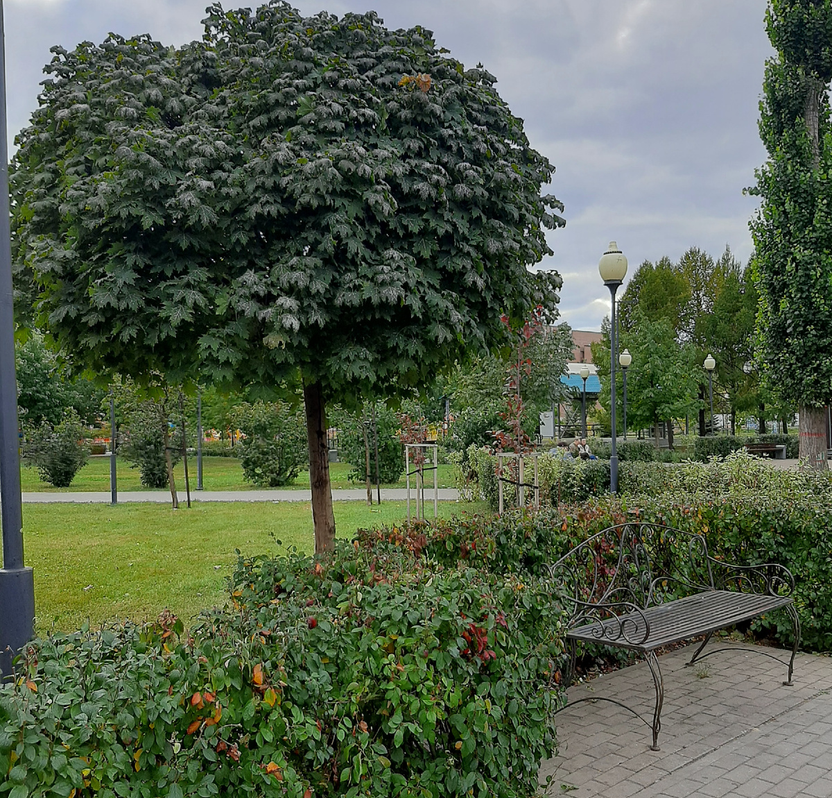 Парк у ТЦ "Арена", Воронеж.