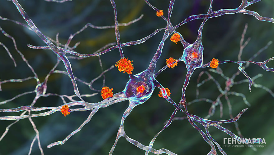 Kateryna Kon // shutterstock.com