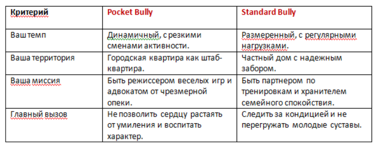 Критерии для выбора типа булли
