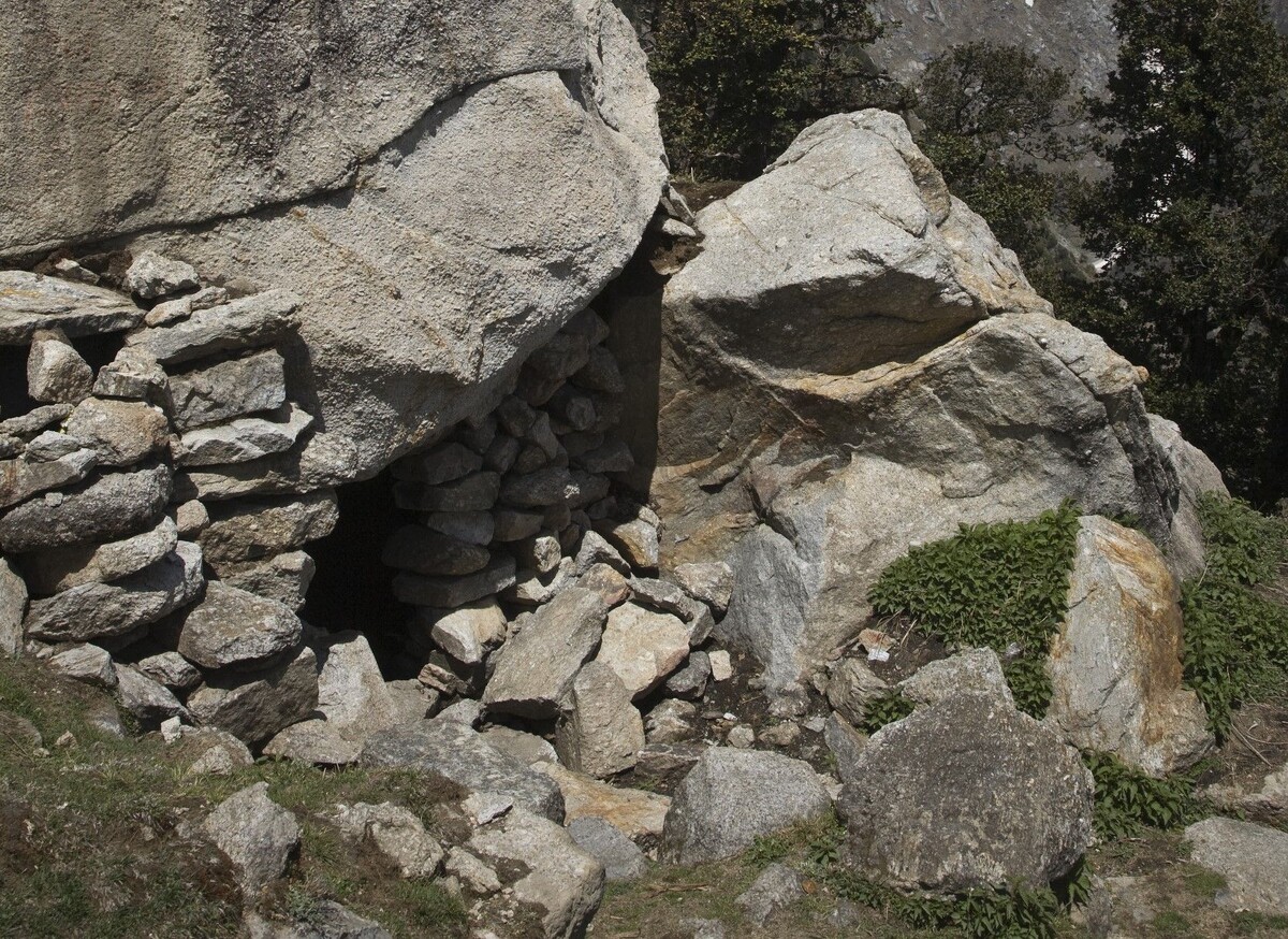     / Источник: © Global Look Press