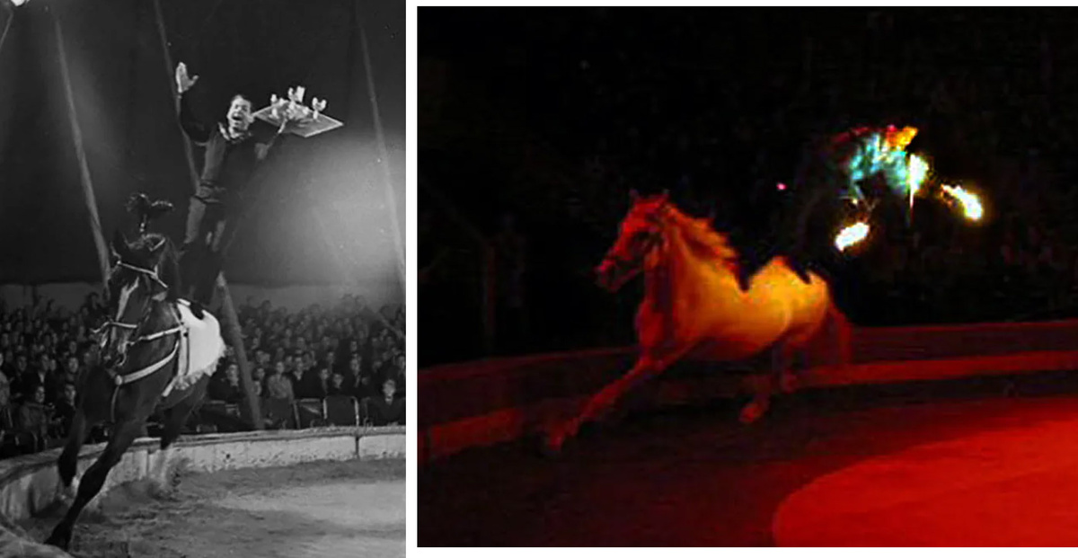 Николай Ольховиков на манеже, фото отсюда https://imgsrc.ru/shiraslan