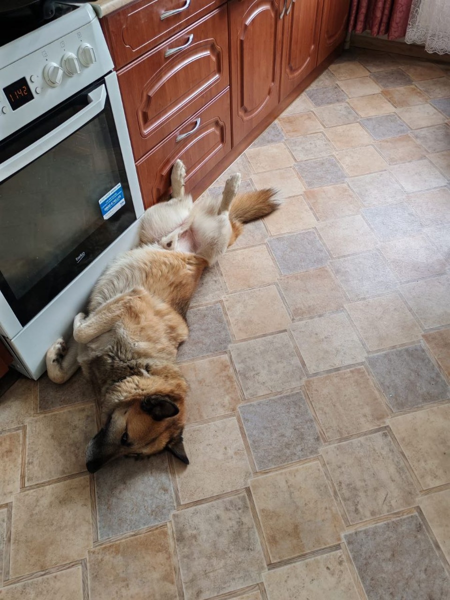 Дома ХОРОШО!