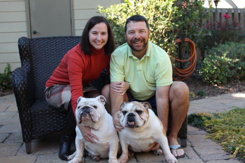 (фото: georgiaenglishbulldogrescue.org)