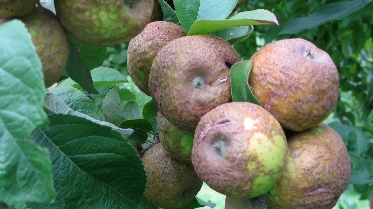 Фото из интернета