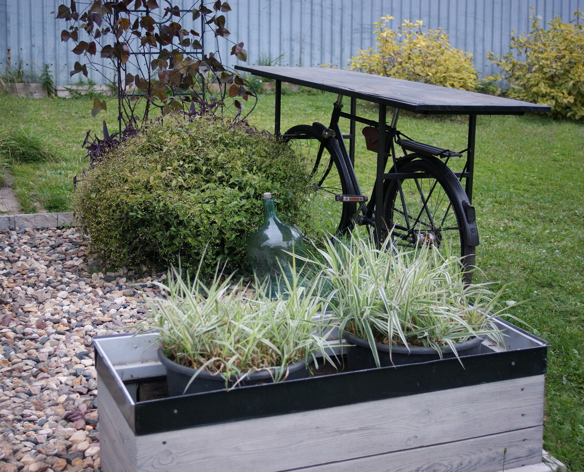 Оставила только самые тяжеловесные 70-литровые горшки, их мне даже на телегу не закинуть. 