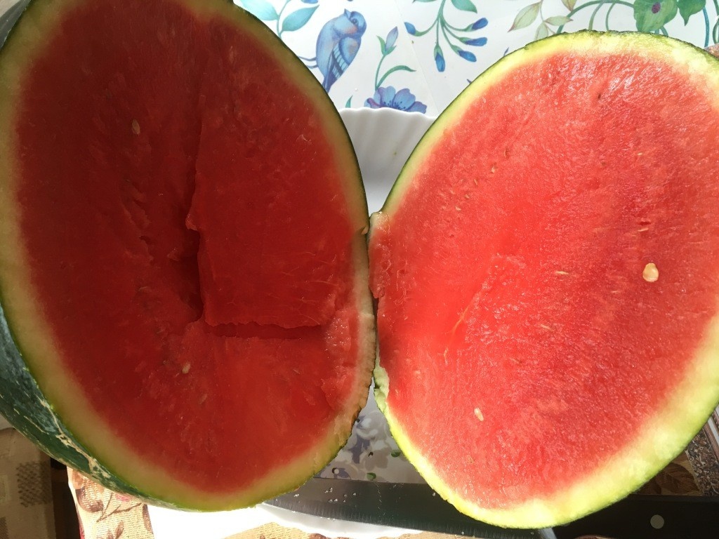 Арбуз без косточек: Удобство, рождающее споры и тревоги...