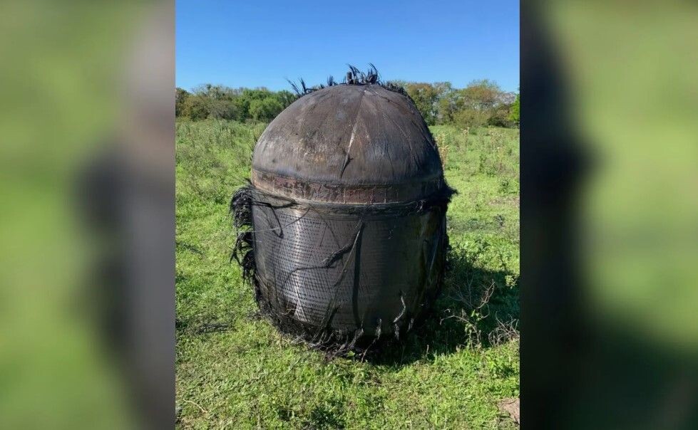     / Источник: Социальные сети