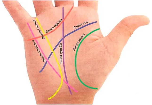 рука, основные линии 