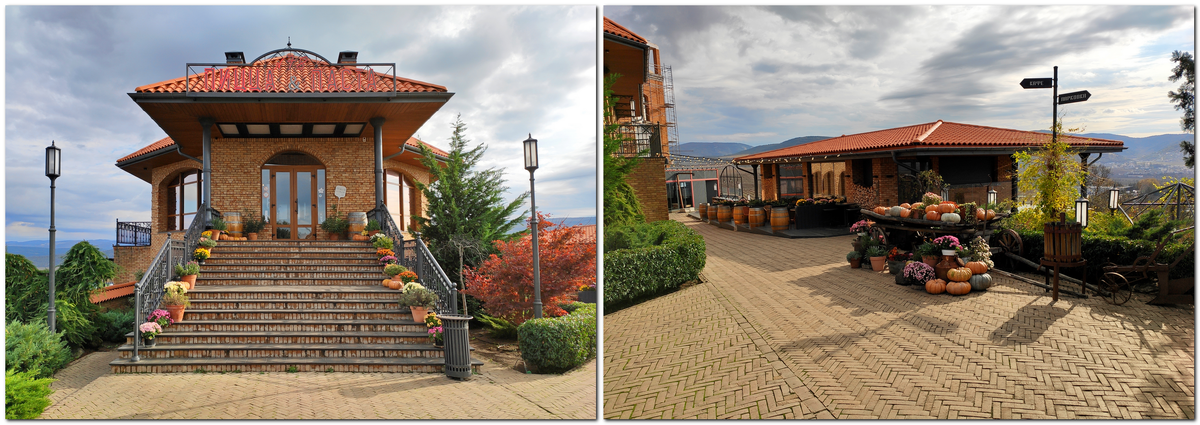 Фото автора. Ноябрь 2023 г.