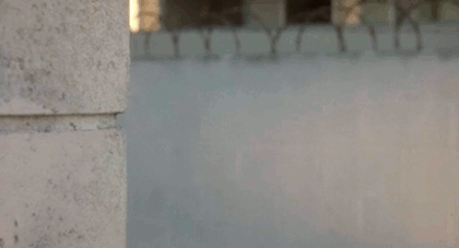 Бонни Ааронс в фильме «Малхолланд Драйв»