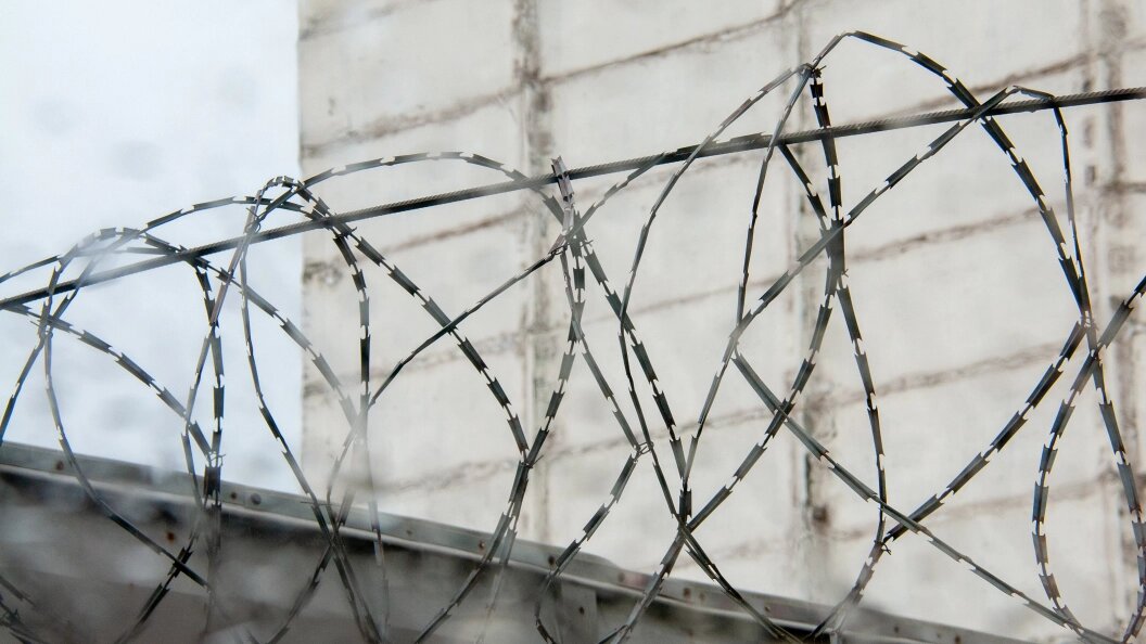    Фото: Globallookpress