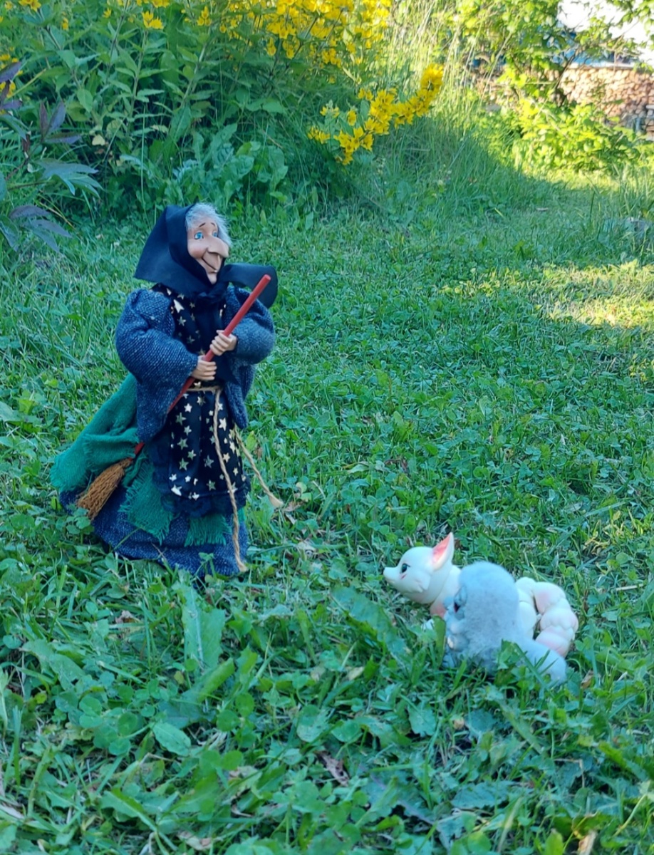 Ёжка, Лисятка и котенок. Фото автора канала