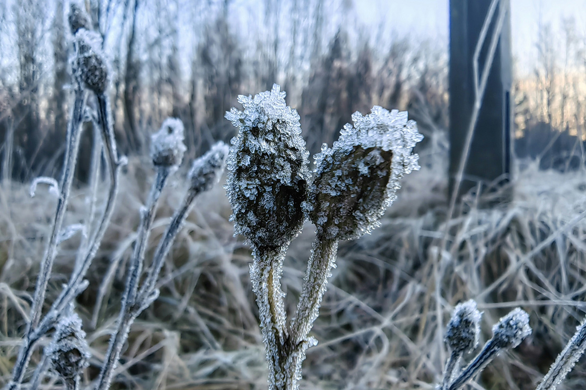    Фото: Yaroslav Kvashnin / Unsplash.com