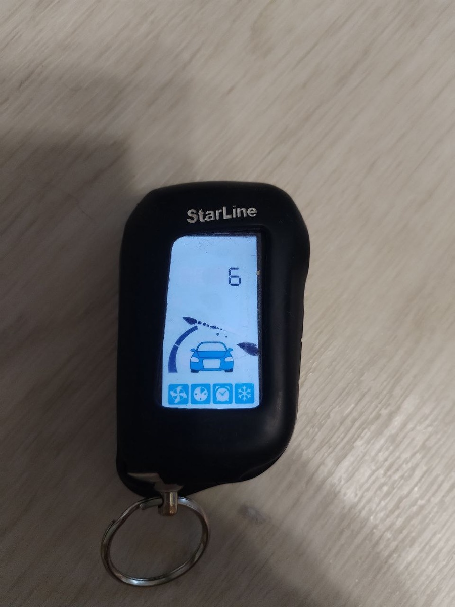 Ёлки-иголки... Как так-то?! Источник: фото автора