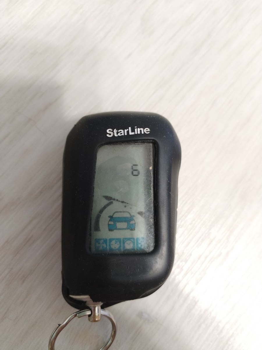 Ёлки-иголки... Как так-то?! Источник: фото автора