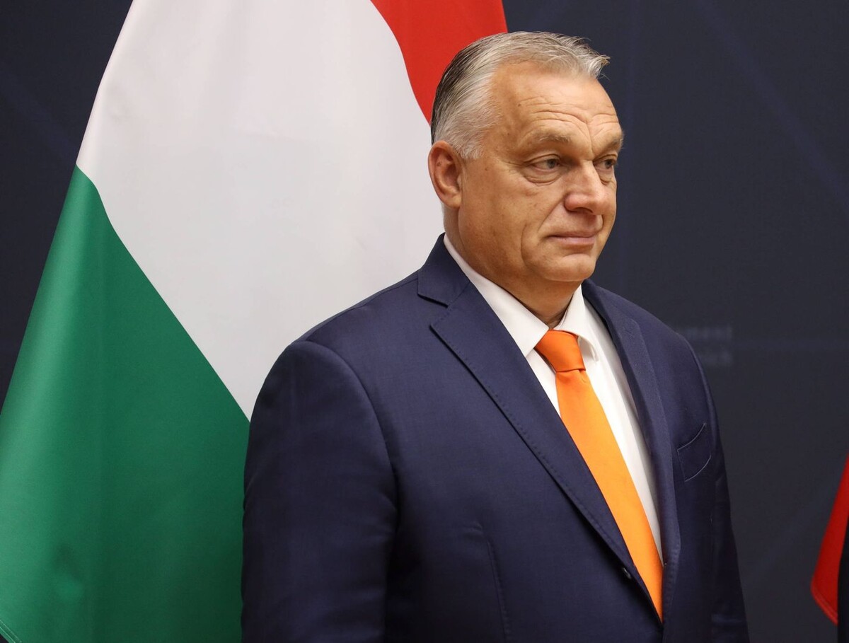     / Источник: © Global Look Press