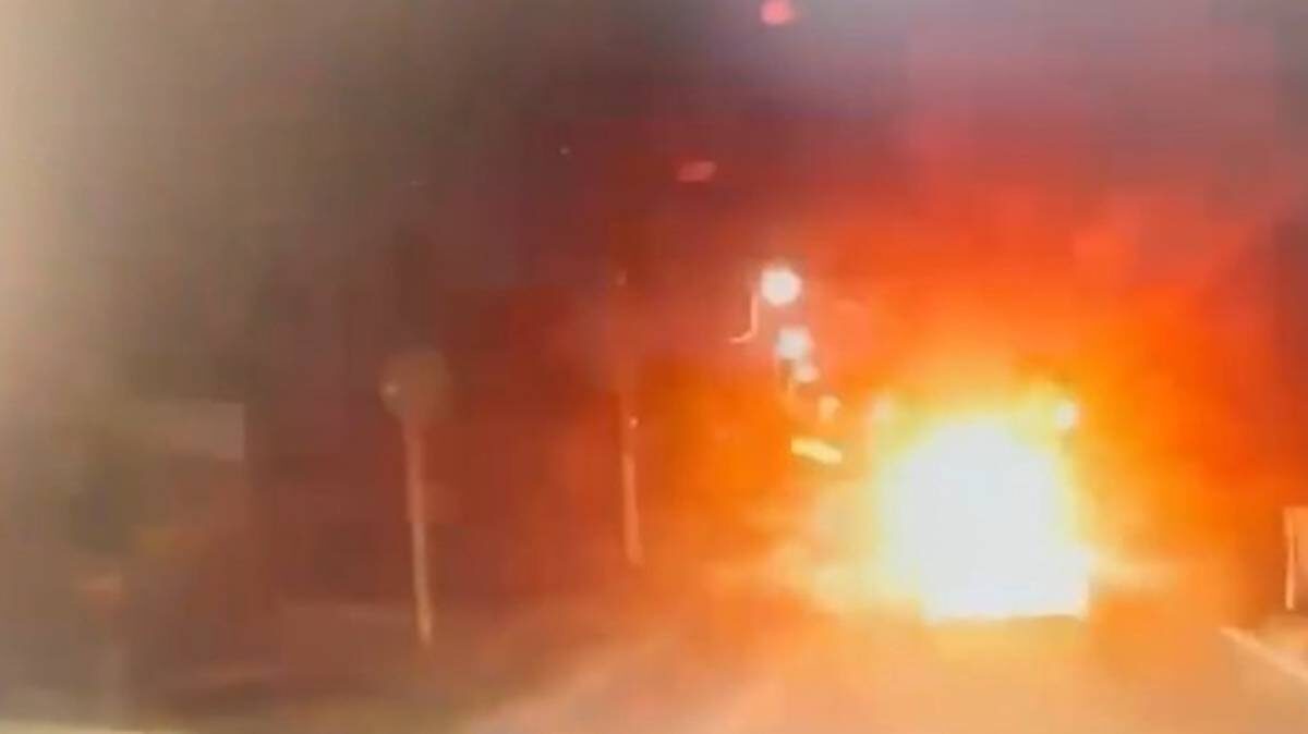    Фото: Telegram / Ирина Волк