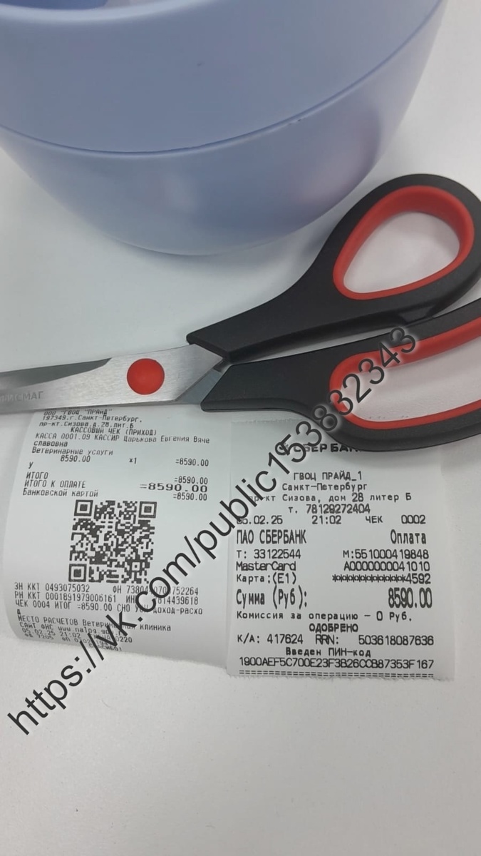 Чек от 05.02.2025 на сумму 8590 руб. за прием врача терапевта- хирурга/анализы крови ОАК/бх/введение препаратов/медикаменты/УЗИ брюшной полости коту Тишке в клинике Ситивет.