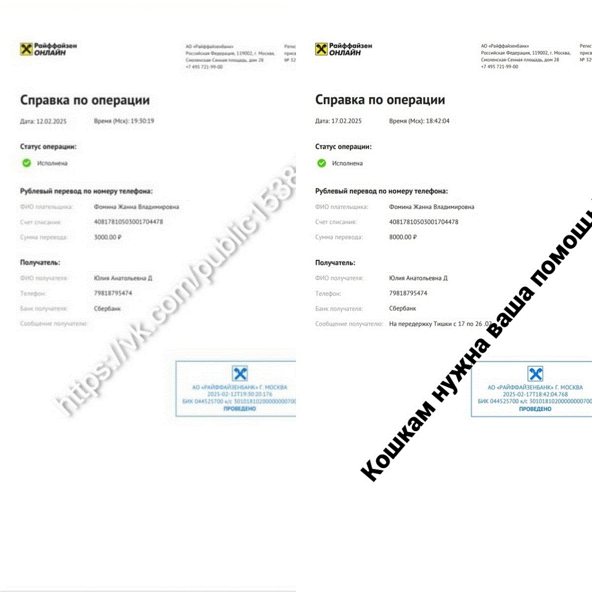 Частичная оплата от 12.02.2025 на сумму 3000 руб. за платную передержку Тишке с медуходом.
Перевод от 17.02.2025 на сумму 8000 руб. за платную передержку Тишке с 17.02 - 26.02 с медуходом.