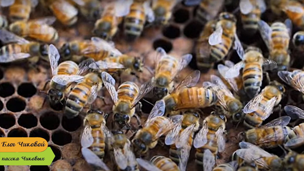 фото просто, чтобы было...