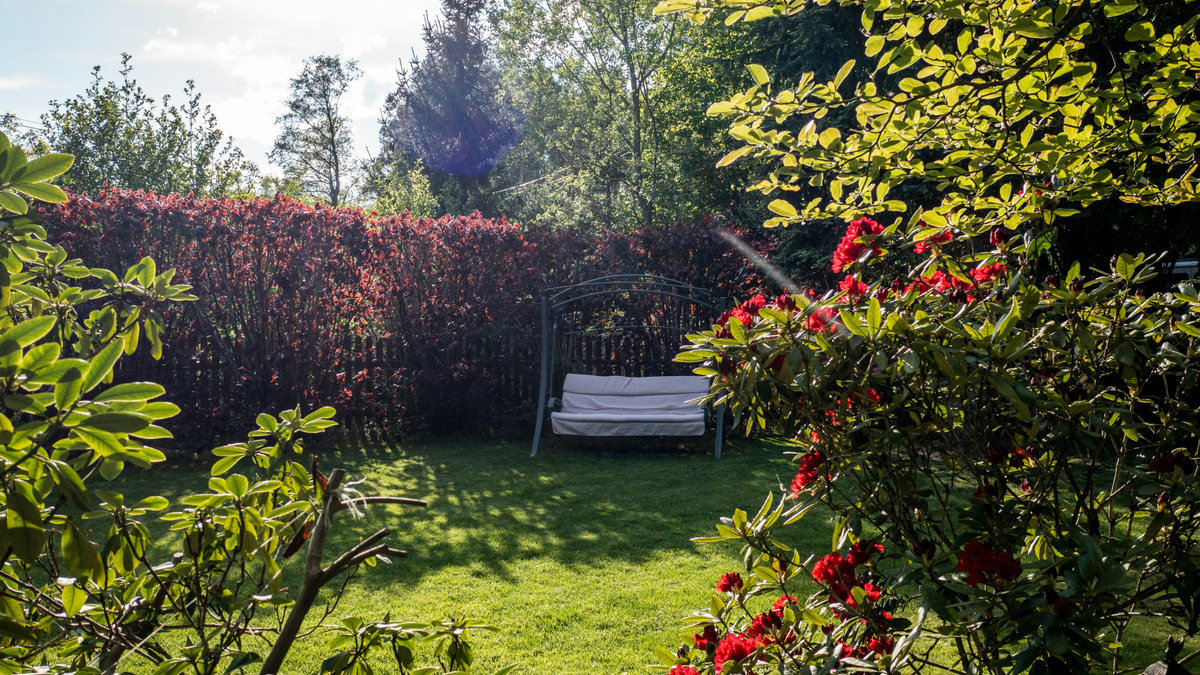 Что посадить на солнце