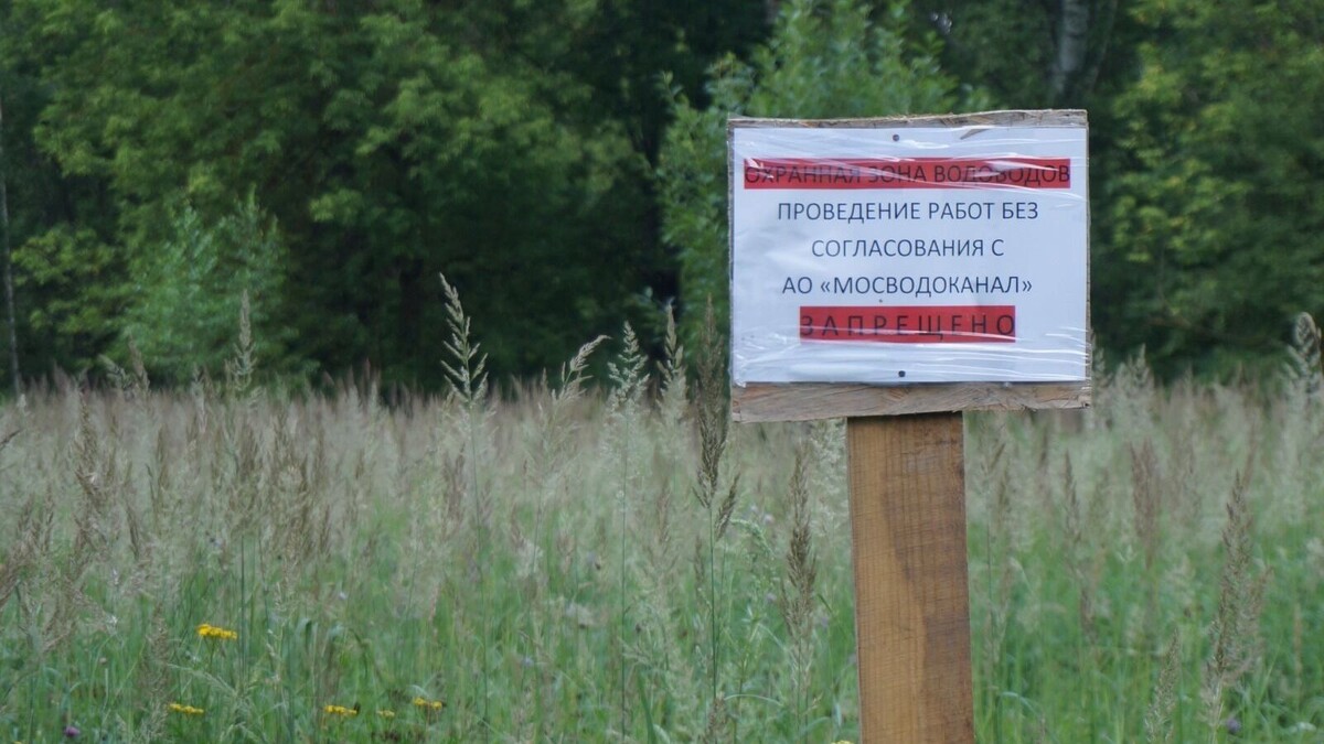 Лосиный остров, как и 145 других ООПТ Москвы — стройте на здоровье. Фото: Алексей Ченосов, newizv.ru