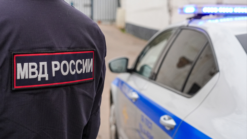    Фото: ИЗВЕСТИЯ/Сергей Лантюхов; 5-tv.ru