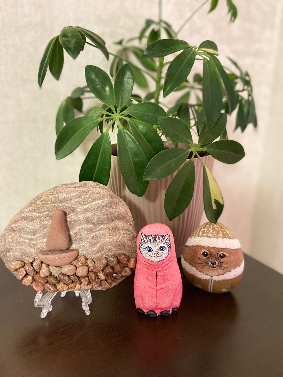 Мое увлечение