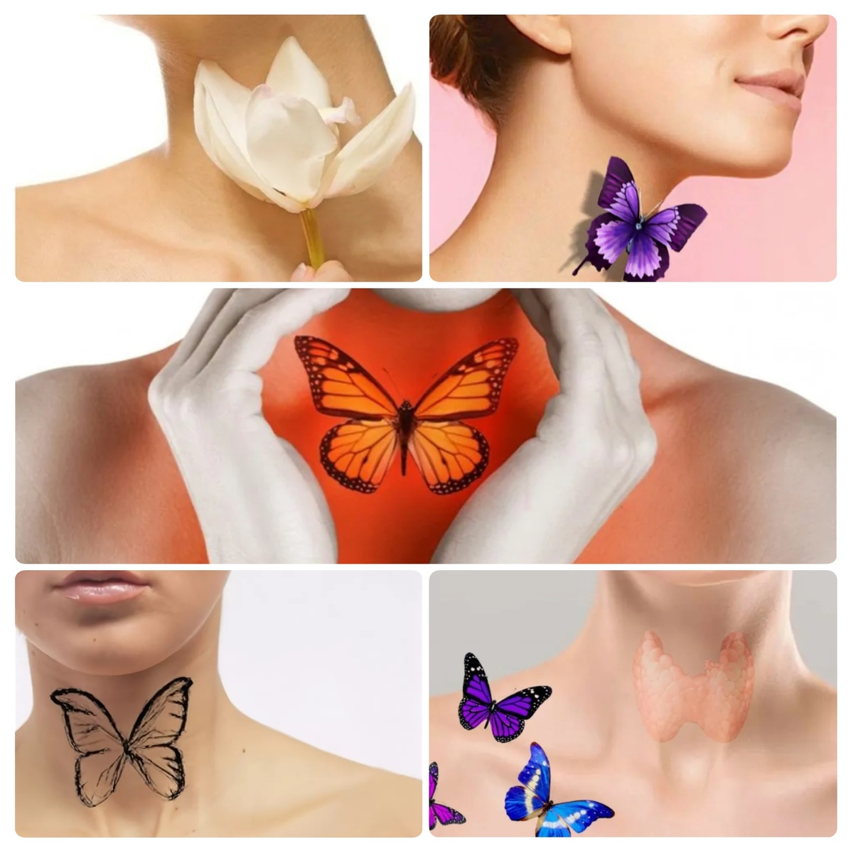 Коллажи в статье авторские