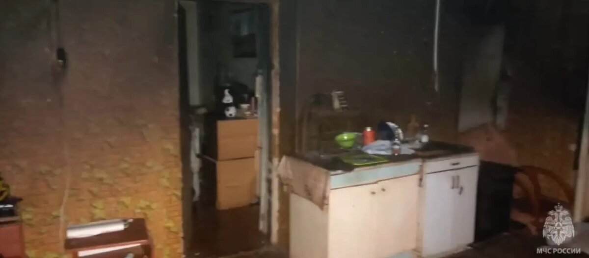    Фото: пресс-служба ГУ МЧС России по Ленобласти