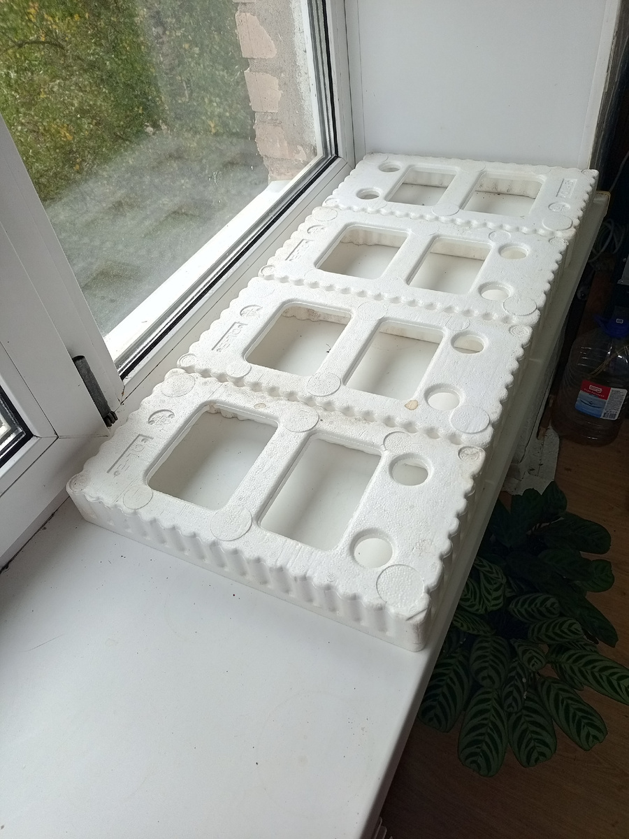 Главное, не забыть их протереть, чтобы были беленькие)