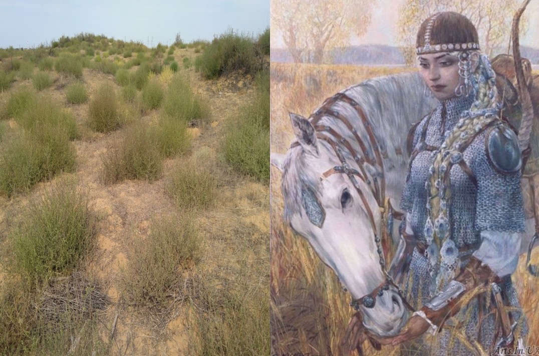 Фото из Интернет-источников.