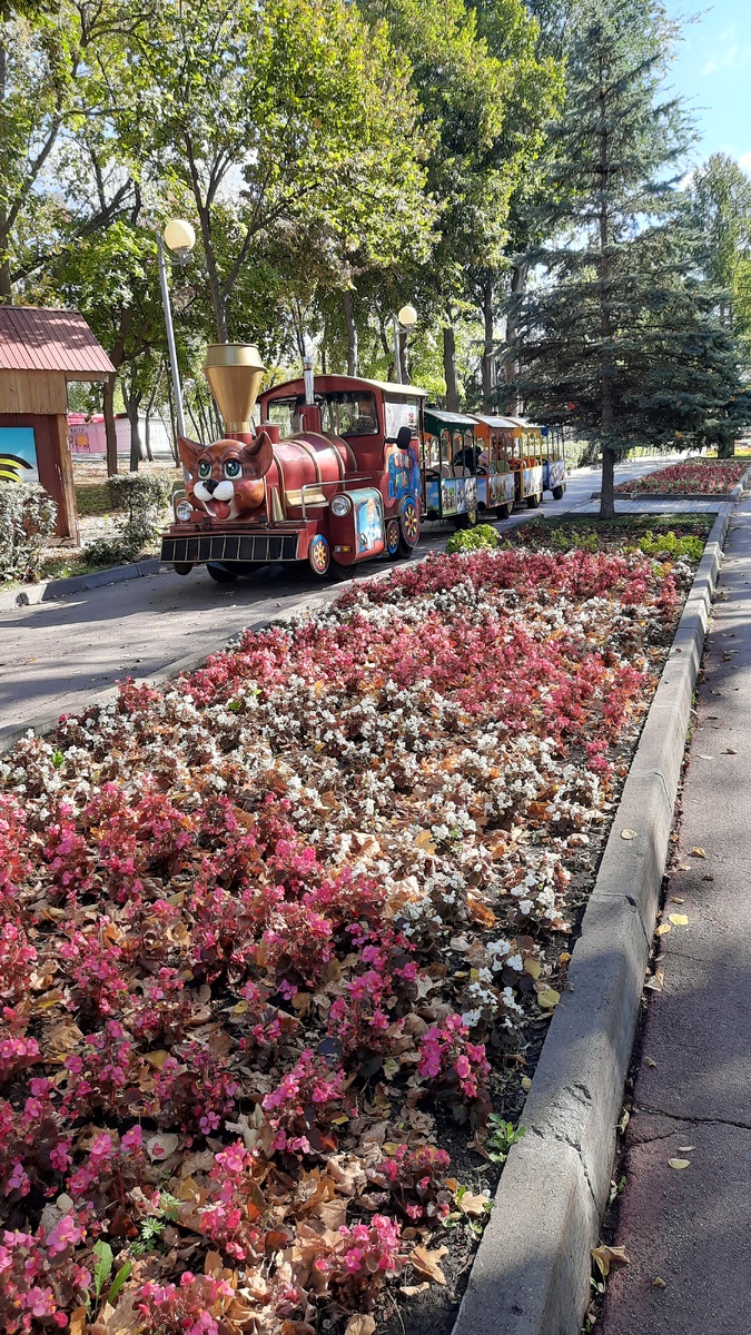 Клумбы с цветами на центральной аллее парка