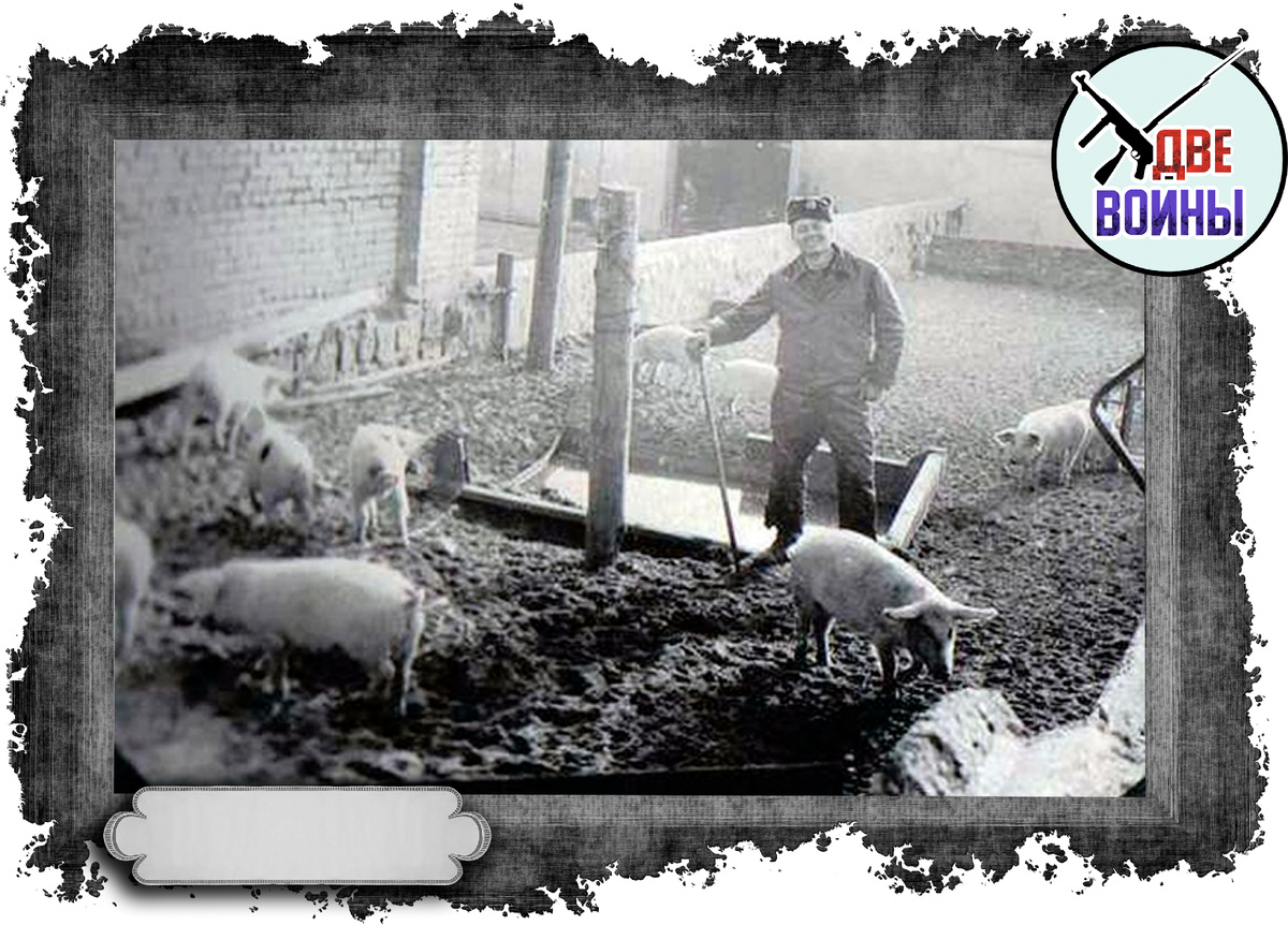 Примерно так и выглядел этот наряд. Фото в свободном доступе.