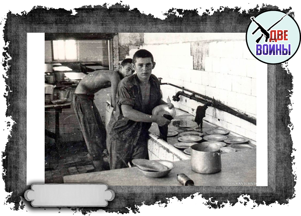 Фото в свободном доступе.