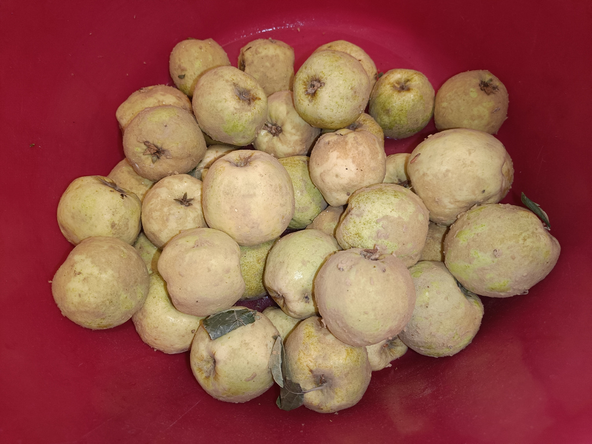 Фотография автора 