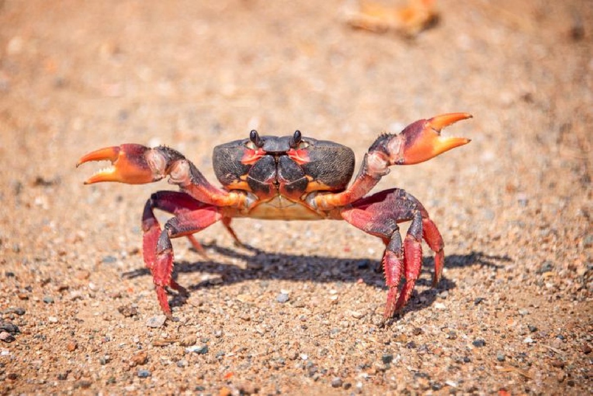    Фото: istockphoto/Delpixart