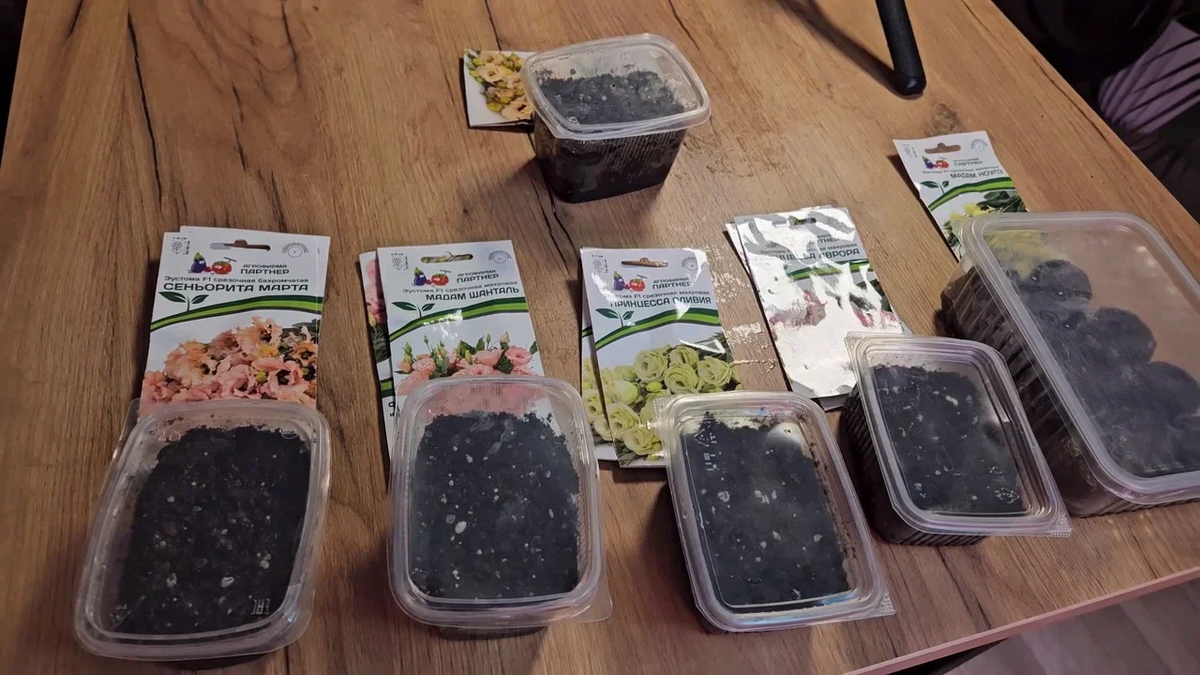 Начало было многообещающим