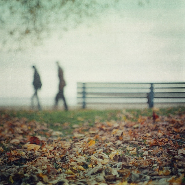 2. Туман и листья. Невесомое и вещественное.