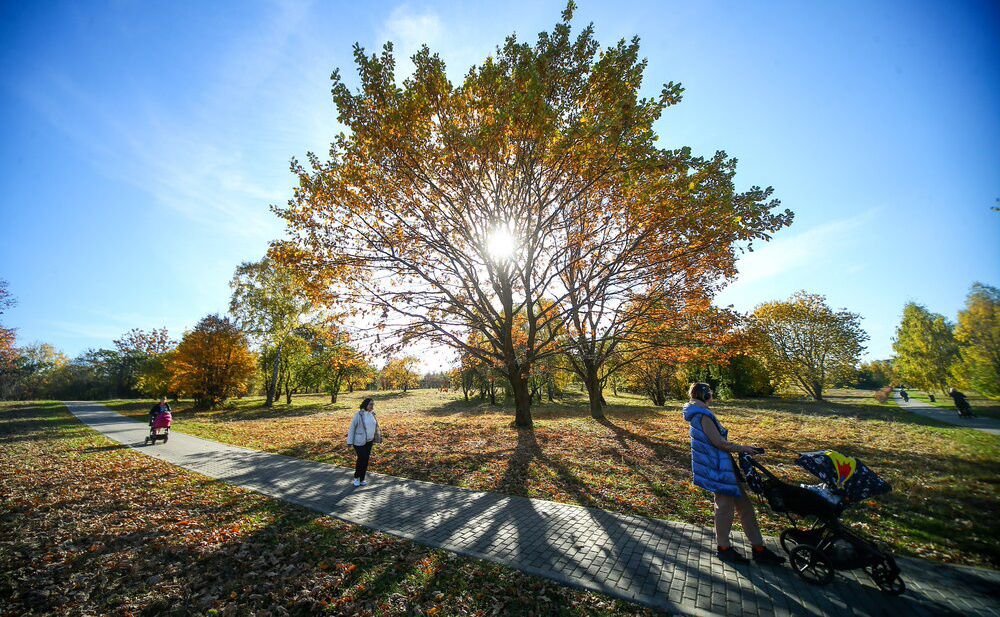    ©Агентство городских новостей "Москва"