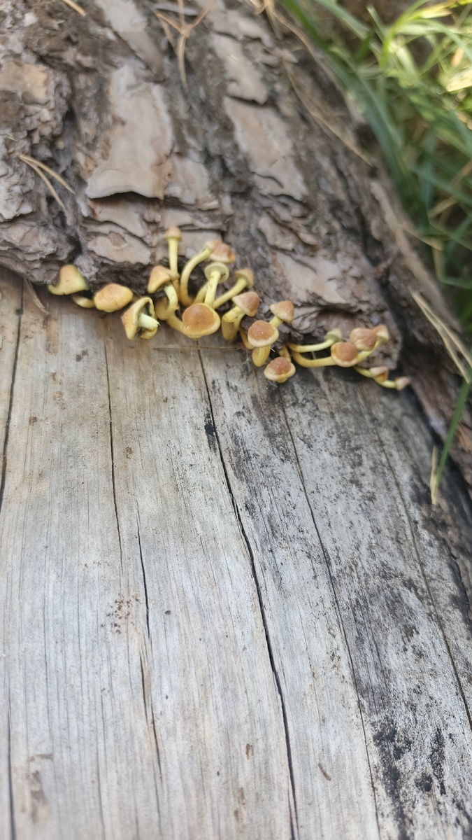 Очень жаль что заканчивается лето