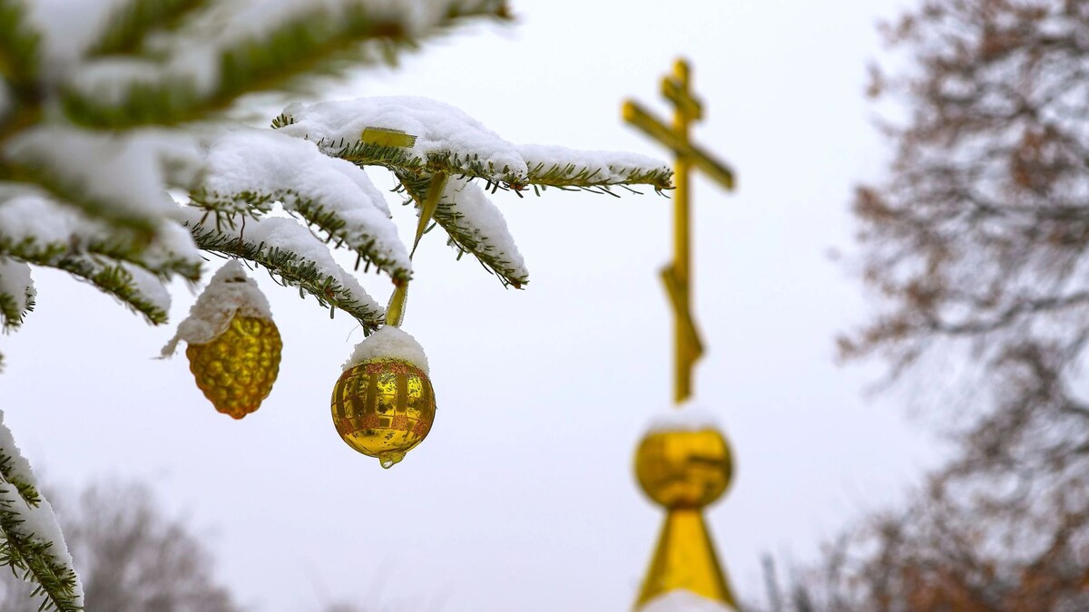    Фото: Stepanych/Shutterstock/Fotodom