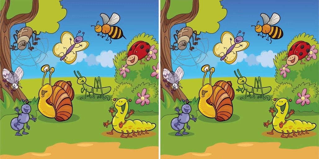 Найдите 10 отличий