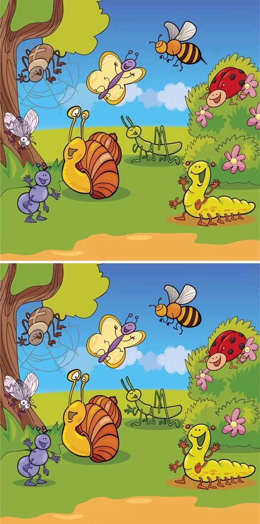 Найдите 10 отличий