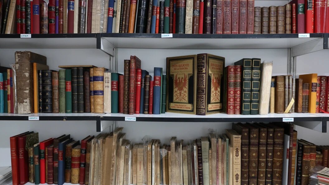    Фото: Globallookpress