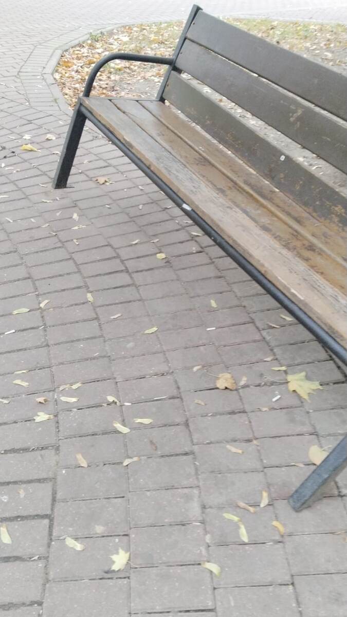 Управа района Северное Измайлово города Москвы