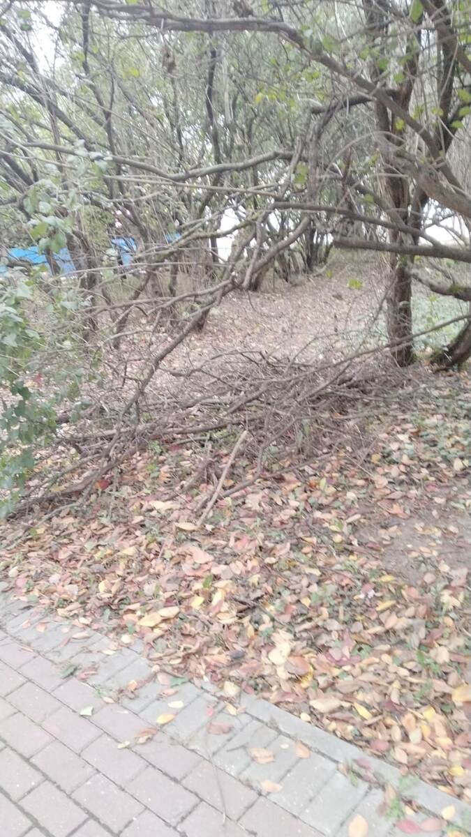 Управа района Северное Измайлово города Москвы