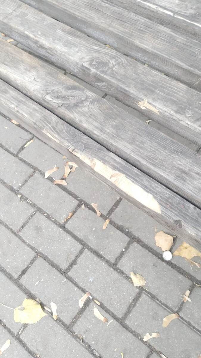 Управа района Северное Измайлово города Москвы