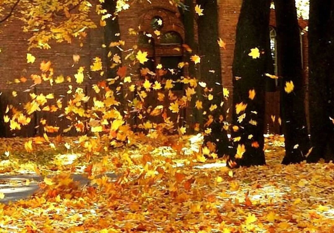 Изображение из открытых источников